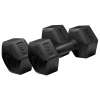 Buy Sunpower 2x6kgs Dumbbell in Kenya