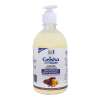 Buy Geisha Germiguard 500ml 12Pack Liquid Hand Wash in Kenya