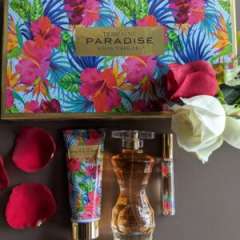 Buy Salvatore Ferragamo Tempting Paradise Set in Kenya