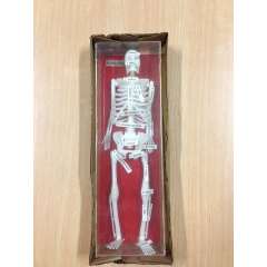 Buy Generic 12inch Human Skeleton in Kenya