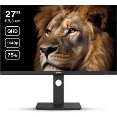 Buy Dahua LM27-P301A 27 Inch QHD IPS Monitor in Kenya
