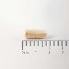 Buy Lamberts Digestizyme 100 Capsules Supplement in Kenya