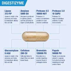 Buy Lamberts Digestizyme 100 Capsules Supplement in Kenya