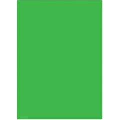 Buy Visico 1.35 X10M Green Paper Backgound in Kenya