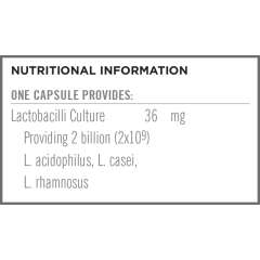 Buy Quest Acidophilus Plus  90Capsules Probiotics Supplement in Kenya