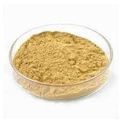 Buy Griffchem 500G Yeast Lab Reagent in Kenya