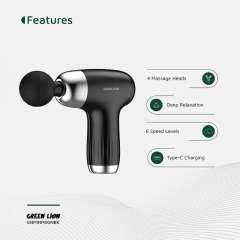 Buy Green Lion Mini Massage Gun in Kenya