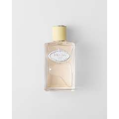 Buy Padra Infusion Gingembre 100ml Edp Perfume in Kenya