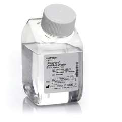 Buy Invitrogen 500ml DNAse RNAse Free UltraPure Distilled Water in Kenya