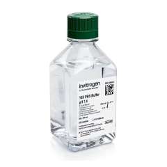 Buy Invitrogen 500ml PBS Phosphate Buffered Saline pH7.4 Buffer in Kenya