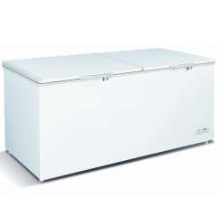 Buy Ramtons CF154 650L Chest Freezer in Kenya