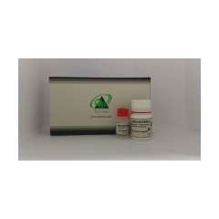 Buy Biotec Cholestrol 5*30 ml in Kenya
