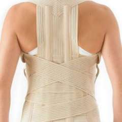 Buy Orthocare Spinal Thoracolumbar Brace, Size: Small in Kenya