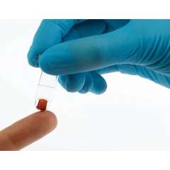 Buy Hemo Contol Microcuvette in Kenya