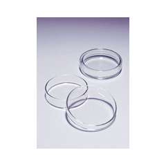 Buy Pyrex 100mm by 20mm Glass Petri Dish in Kenya