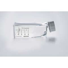 Buy Eppendorf Cell Culture Flask in Kenya