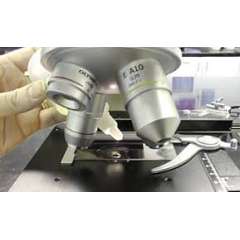 Buy Griffchem 100ml Immersion Oil for Microscopy Lab Reagent in Kenya