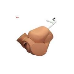 Buy Advanced Childbirth Simulator Model in Kenya