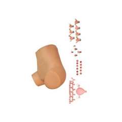 Buy Gynecological Examination Model in Kenya