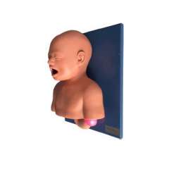 Buy Infant Tracheal Intubation Model in Kenya