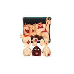 Buy Trauma Simulator Model in Kenya