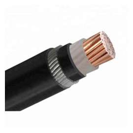 Buy East African Cables 6941X35.0 mm² Per Meter Single Core Copper Armored Cables in [storefront]