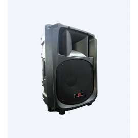 Buy Explorer EXP 15P Passive Speaker in [storefront]