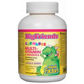 Buy Natural Factors Big Friends 60 Chewable Multi-Vitamin Tablets in [storefront]