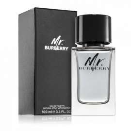 Buy Mr Burberry 100ml Edt Men Perfume in [storefront]