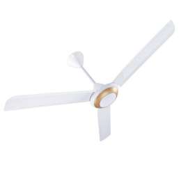 Buy Tronic DF CF56-GO 56 Inch Ceiling Fan in [storefront]