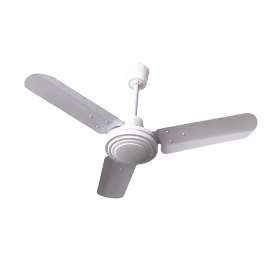 Buy Tronic EST CF36 White 36 Inch Ceiling Fan in [storefront]