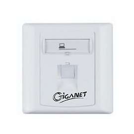 Buy Giganet Single faceplate in [storefront]