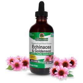 Buy Natures Answer 30ml Echinacea and Golden Seal Supplement in [storefront]