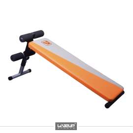 Buy LS1201 Fitness Sit-up Bench in [storefront]