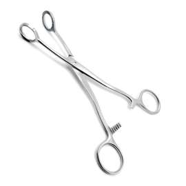 Buy Collins Tongue Holding Forceps in [storefront]