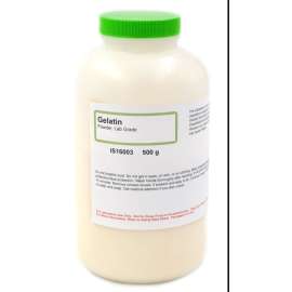 Buy Griffchem 500G Gelatin Lab Reagent in [storefront]