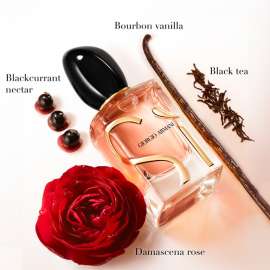 Buy Giorgio Armani Si Intense Edp 100ml Women Perfume in [storefront]