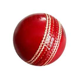Buy Generic Leather Practice Cricket Ball in [storefront]