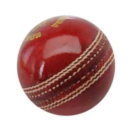 Buy Generic Leather Tournament Cricket Ball in [storefront]