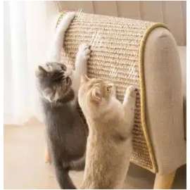 Buy Catco  60*90cm Cat Scratcher Mat in [storefront]