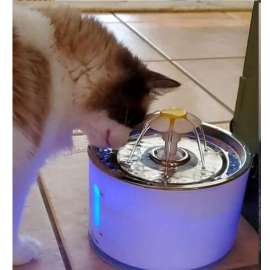 Buy Automatic Cat Water Fountain in [storefront]