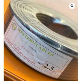 Buy Western Cable 2.5mm flat 2core 90M roll in [storefront]