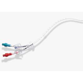 Buy BD Bard HemoStar 14.5Fr Long Term Permanent Hemodialysis Catheter, Tube Size: 14.5Fr, Insertion Length(Tip to Cuff): 23cm in [storefront]