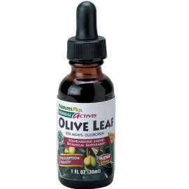 Buy Natures Plus Olive Leaf 30 ml Supplement in [storefront]