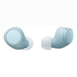 Buy Sony WF-C510 Wireless Earbuds in [storefront]