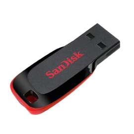 Buy SanDisk Cruzer Blade 8GB FlashDisk in [storefront]