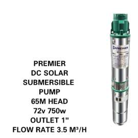 Buy Premier 65M 1" 750W 72V DC Solar Submersible Pump in [storefront]