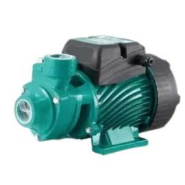 Buy Premier QB60 0.5HP 28M 1" electric water Booster Pump in [storefront]