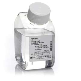 Buy Invitrogen 500ml DNAse RNAse Free UltraPure Distilled Water in Kenya