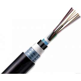 Buy Fibre  12 Core Outdoor Multimode Cable in [storefront]